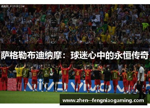 萨格勒布迪纳摩：球迷心中的永恒传奇