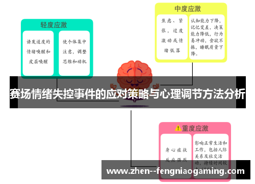 赛场情绪失控事件的应对策略与心理调节方法分析