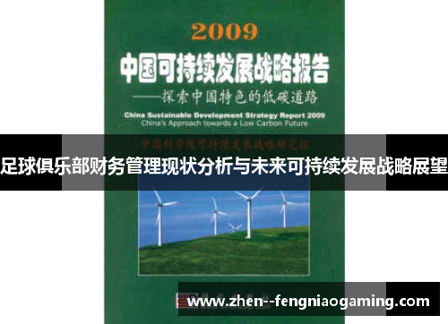 足球俱乐部财务管理现状分析与未来可持续发展战略展望