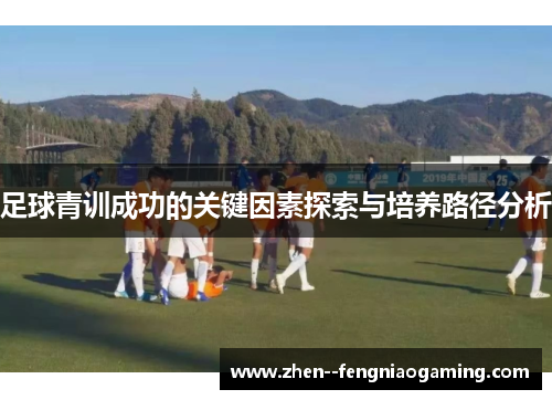 足球青训成功的关键因素探索与培养路径分析