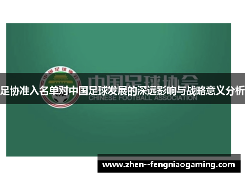 足协准入名单对中国足球发展的深远影响与战略意义分析
