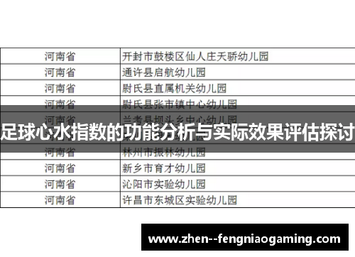 足球心水指数的功能分析与实际效果评估探讨