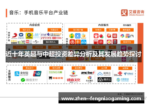 近十年英超与中超投资差异分析及其发展趋势探讨